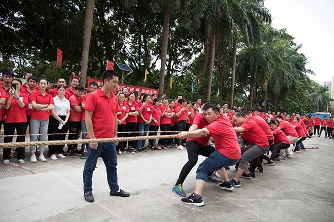 1566799922809313.jpg 6.jpg