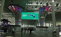 還原度100%！元亨深圳機場“未來樹窗”項目正式完工